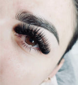 5D  | PROMADE FANS - SINGLE LENGTH TRAY <br> (600 Lashes)