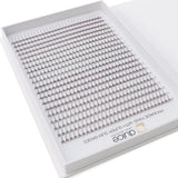 10D | PROMADE FANS - SINGLE LENGTH <br> (500 LASHES)